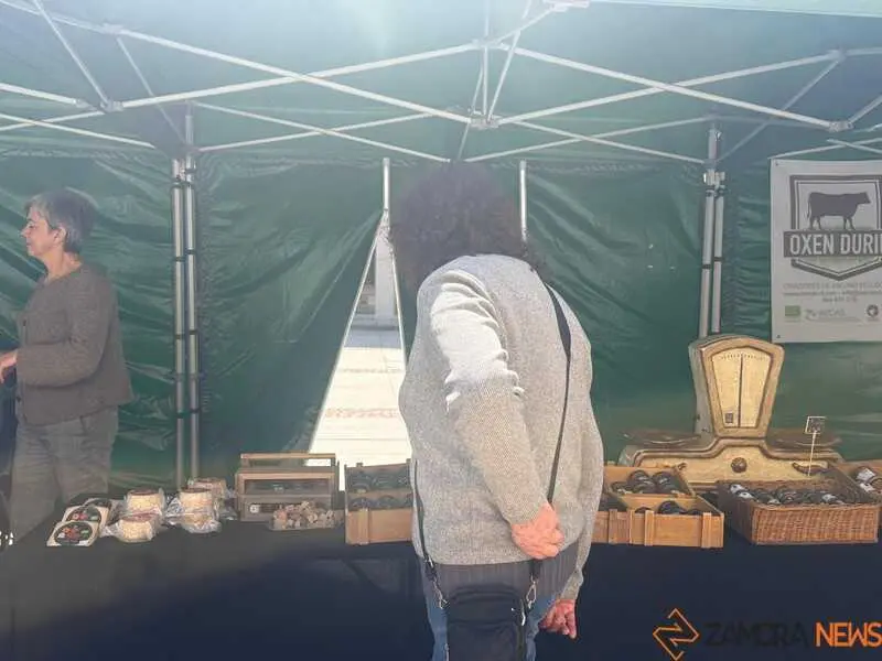 mercado ecol&oacute;gico _11