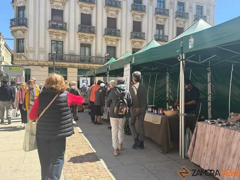 mercado ecol&oacute;gico _13