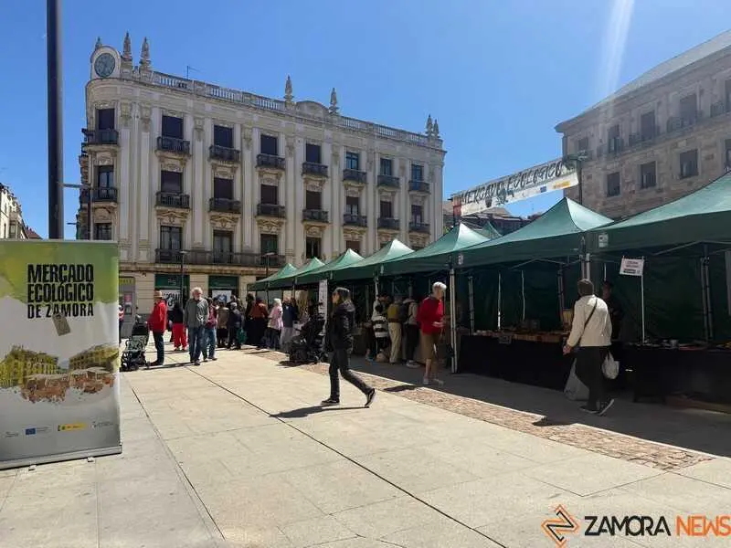 mercado ecol&oacute;gico _14