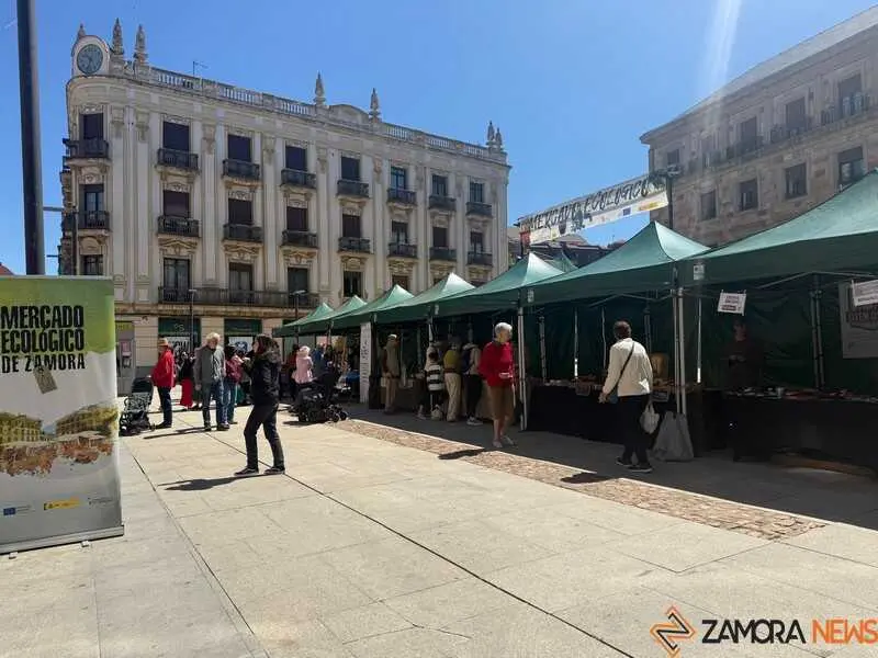 mercado ecol&oacute;gico _15