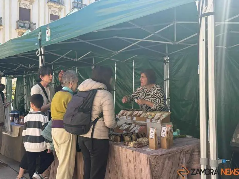 mercado ecol&oacute;gico _16