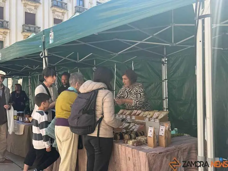 mercado ecol&oacute;gico _17