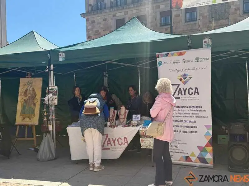 mercado ecol&oacute;gico _19