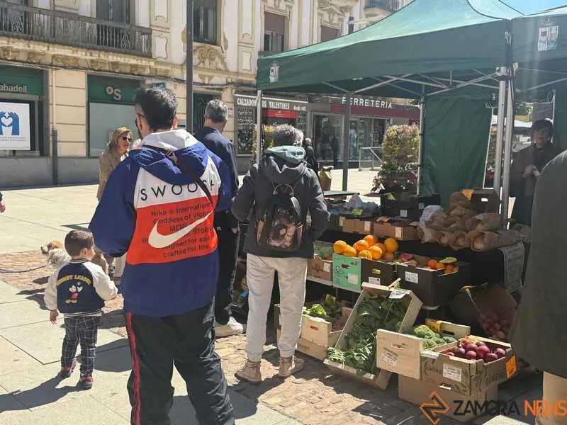mercado ecol&oacute;gico _20