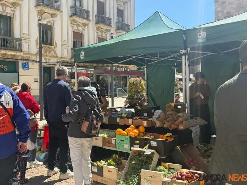 mercado ecol&oacute;gico _21
