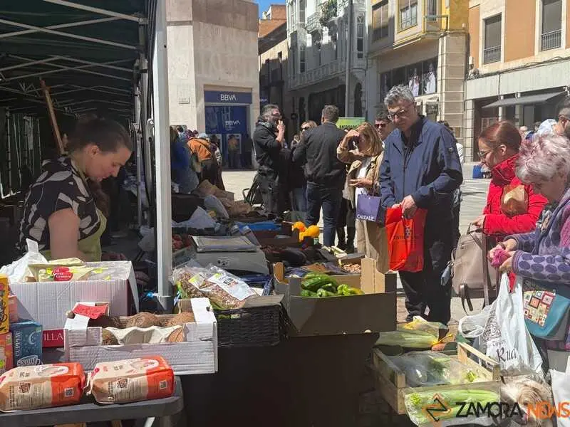 mercado ecol&oacute;gico _22