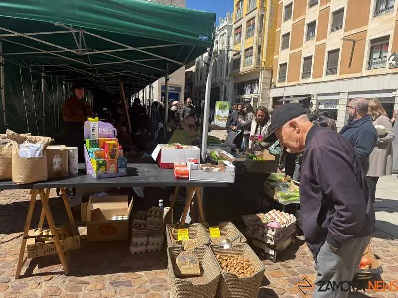 mercado ecol&oacute;gico _23