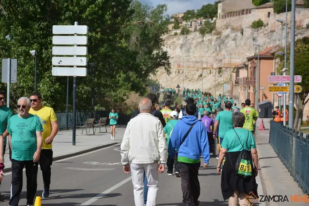 el cerco de zamora edici&oacute;n xi_15
