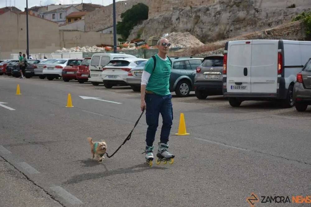 el cerco de zamora edici&oacute;n xi_57