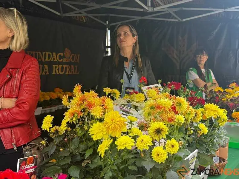 festival Coraz&oacute;n de Madre_3