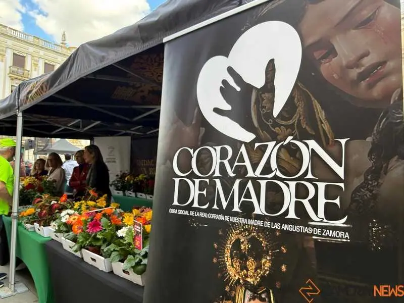 festival Coraz&oacute;n de Madre_4