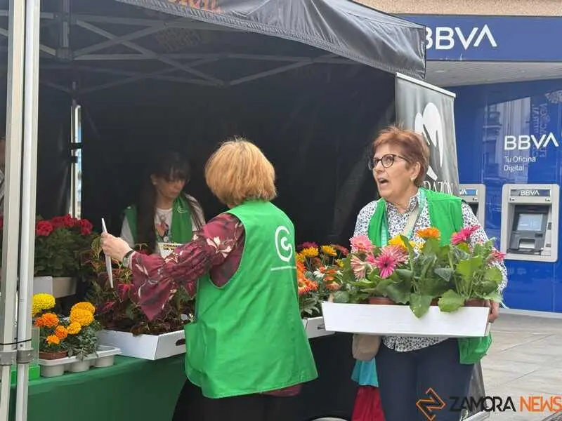festival Coraz&oacute;n de Madre_6