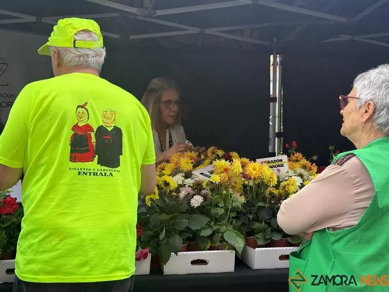 festival Coraz&oacute;n de Madre_7