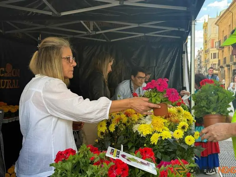 festival Coraz&oacute;n de Madre_8