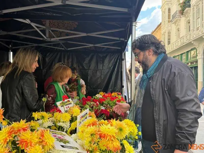 festival Coraz&oacute;n de Madre_31