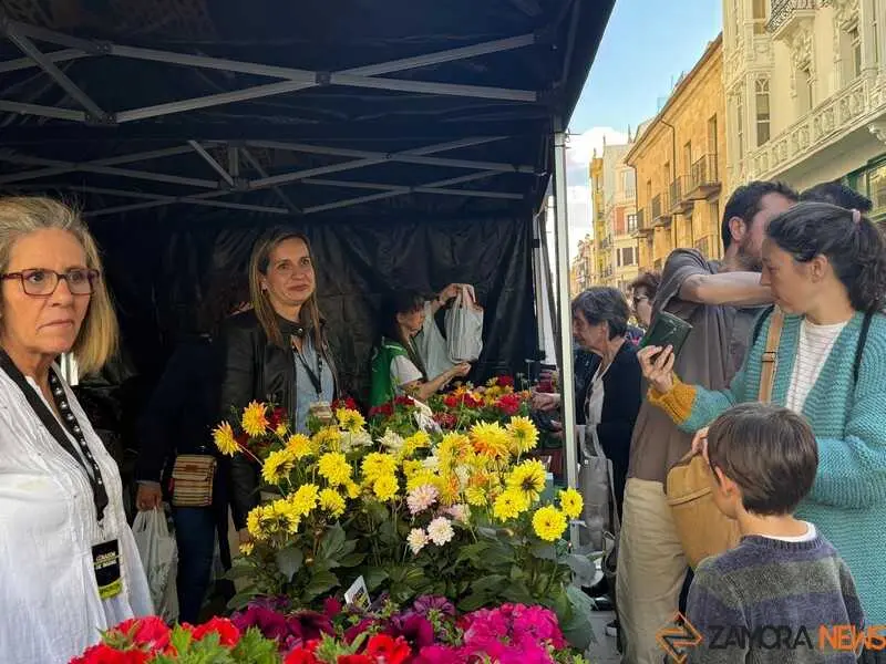 festival Coraz&oacute;n de Madre_36