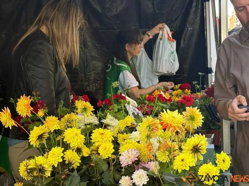 festival Coraz&oacute;n de Madre_37