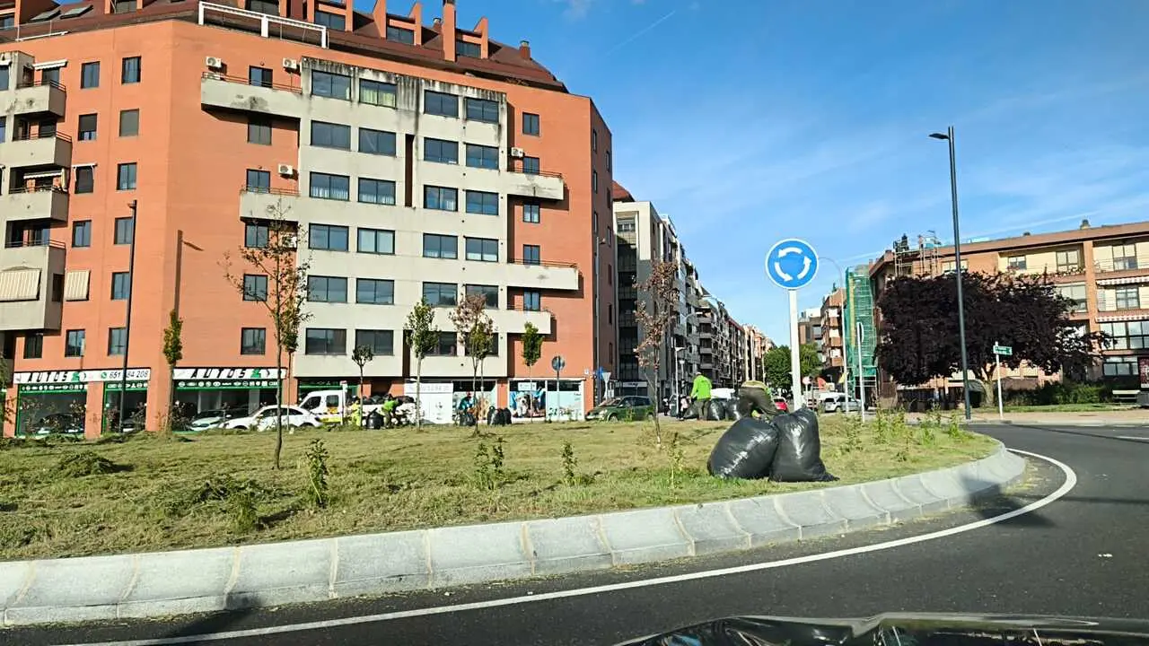 Desbroce en la Avenida Cardenal Cisneros
