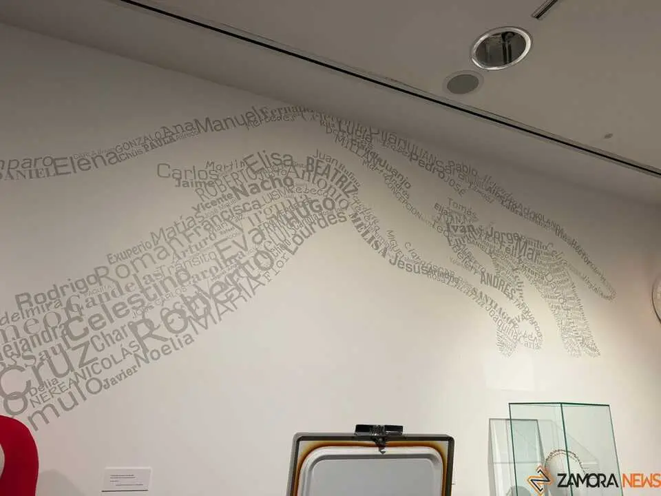  Espacio Donaciones del Museo Etnogr&aacute;fico de Castilla y Le&oacute;n_2