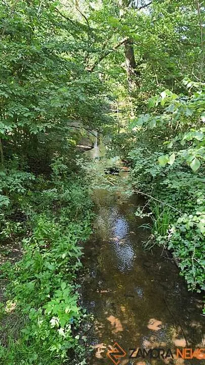 Valorio 
