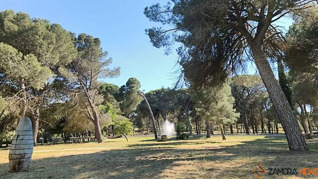 Valorio _5