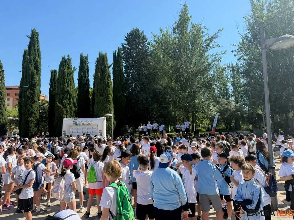 Educaci&oacute;n f&iacute;sica_3