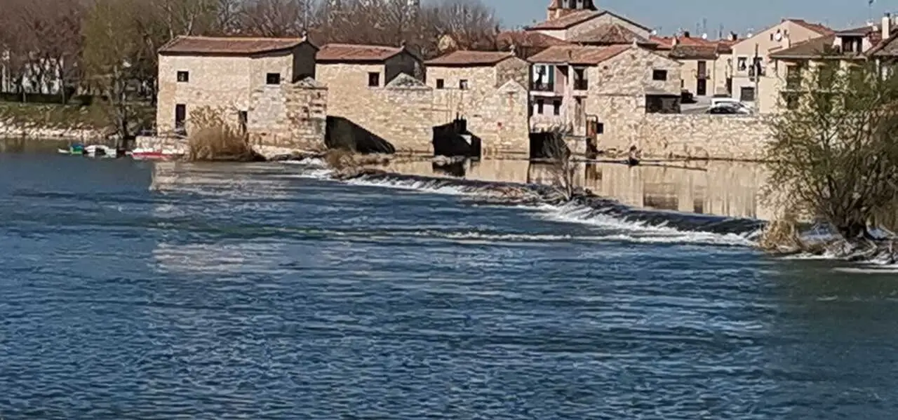Ace&ntilde;as de Olivares