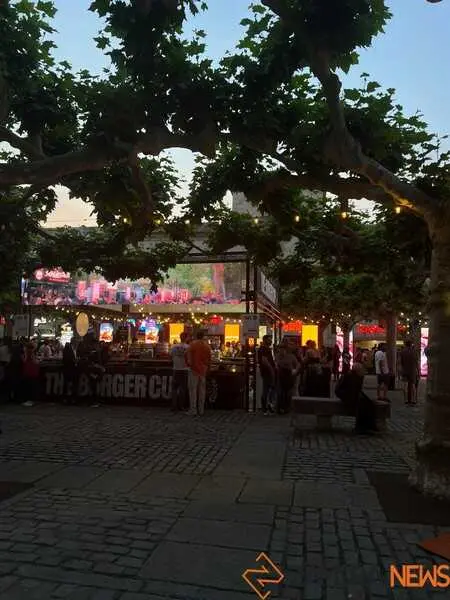 The Burger Cup Zamora 