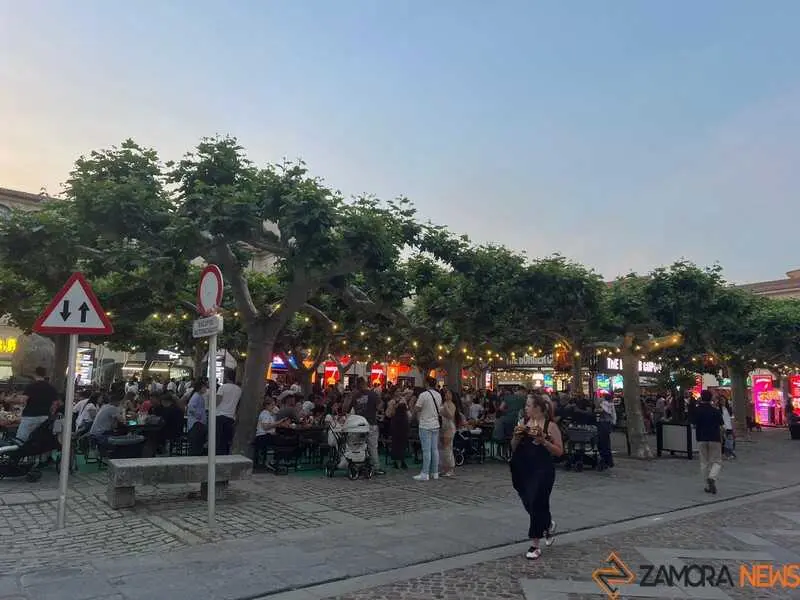 The Burger Cup Zamora _25