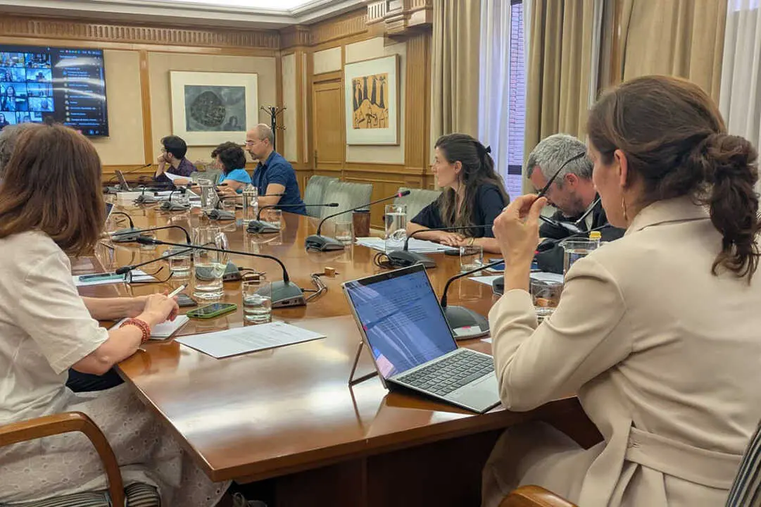 La ministra de Sanidad, M&oacute;nica Garc&iacute;a, durante la reuni&oacute;n de Consejo Interterritorial del Sistema Nacional de Salud (CISNS)
