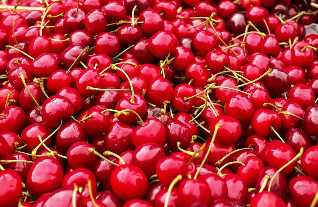 cerezas imagen de archivo