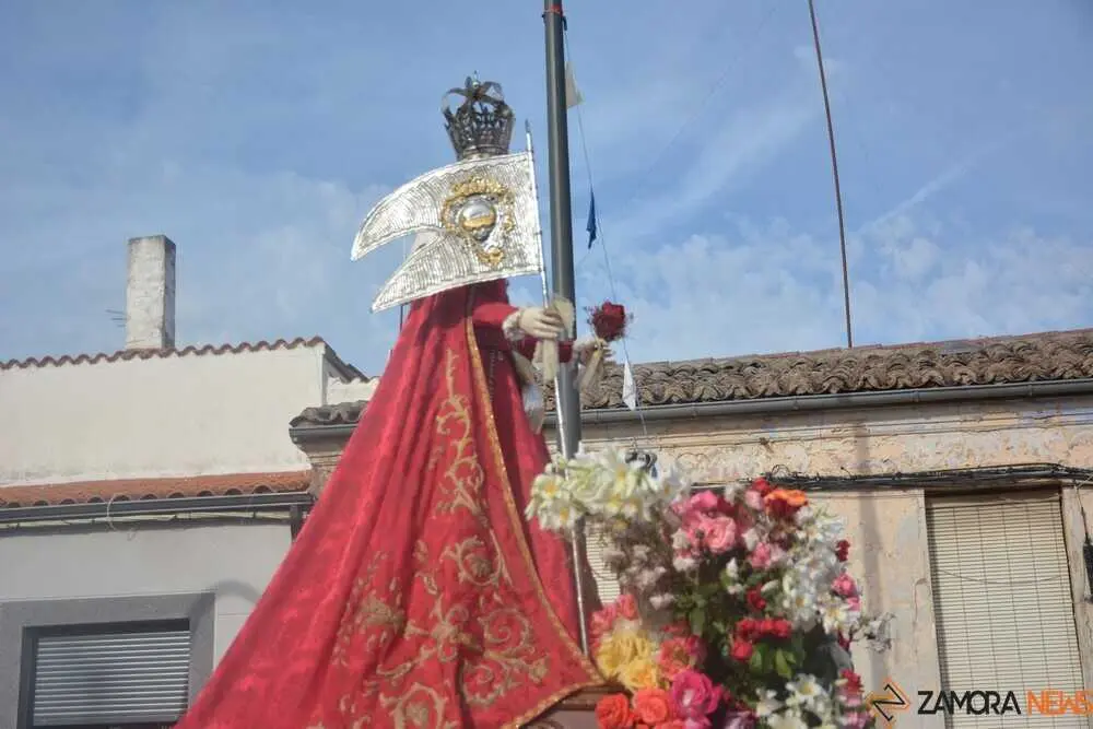 Virgen Concha 2026 _106