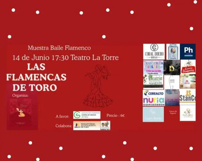 Las Flamencas dee Toro AECC 