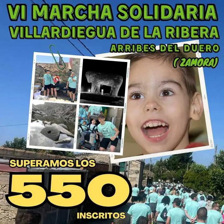 VI Marcha Villardiegua inscritos