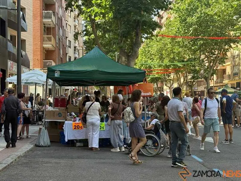 comercio de Tres Cruces _12