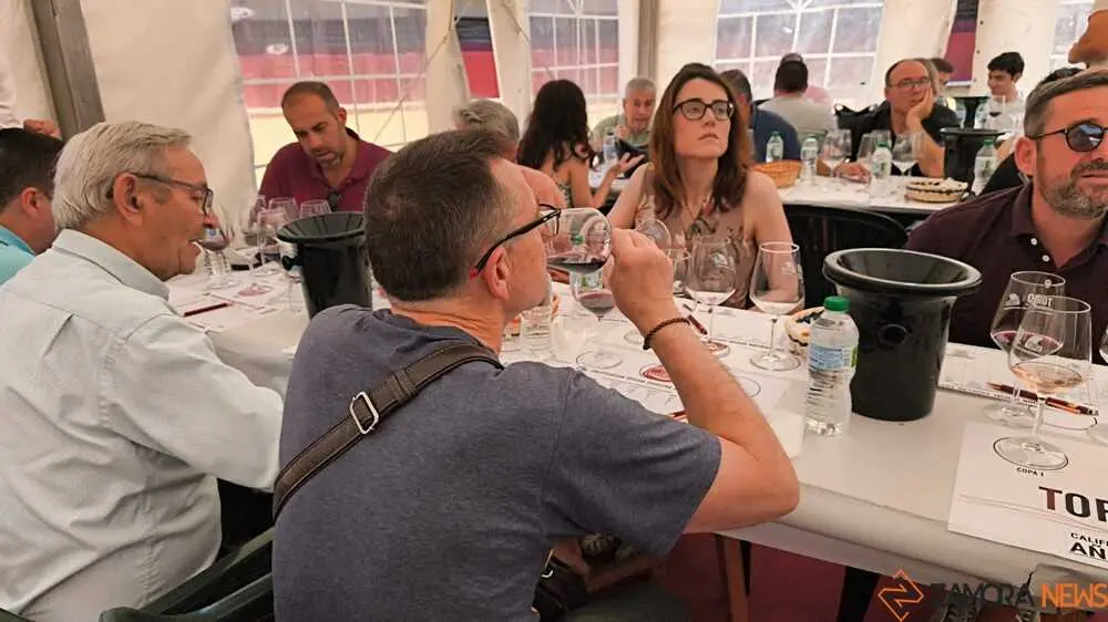 Feria del vino de Toro _8