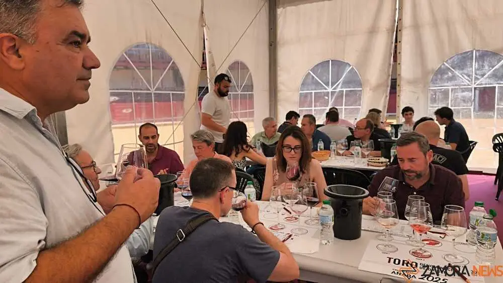 Feria del vino de Toro _11