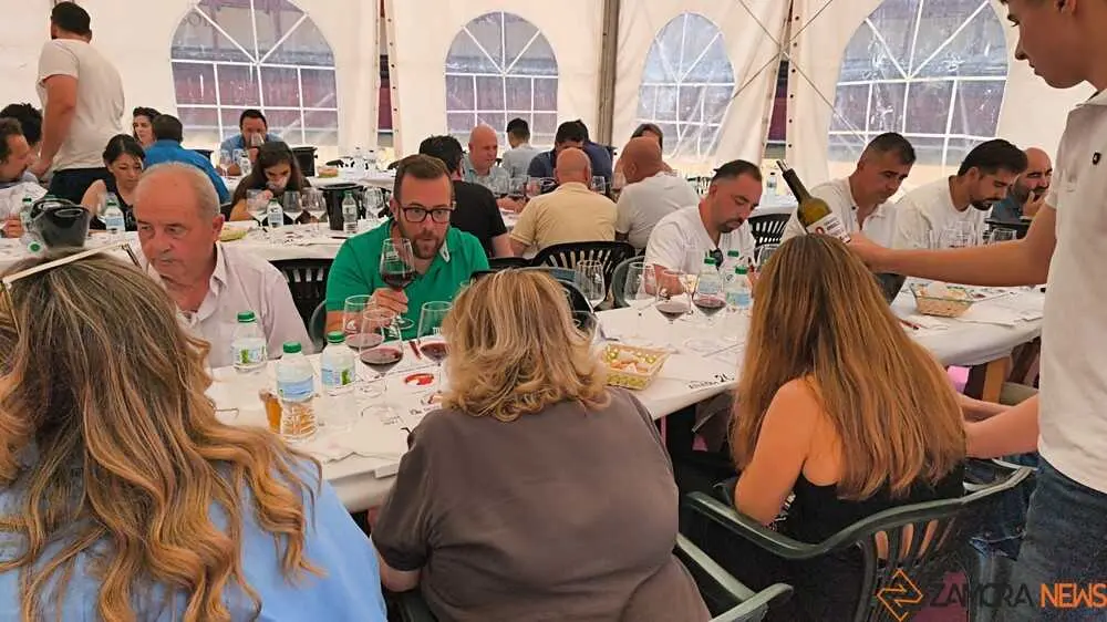 Feria del vino de Toro _13