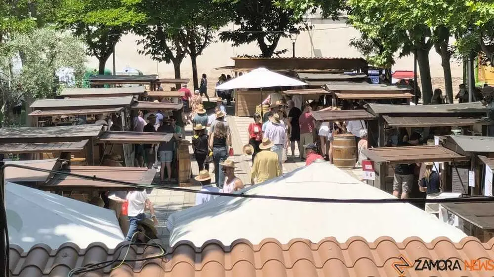 Feria del vino de Toro _14