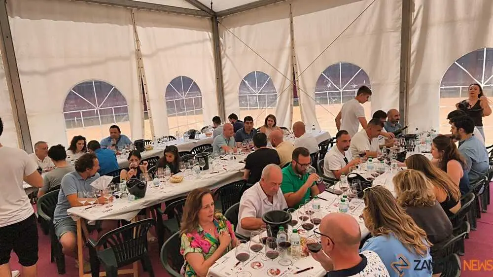 Feria del vino de Toro _22