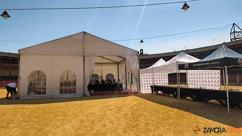 Feria del vino de Toro _27