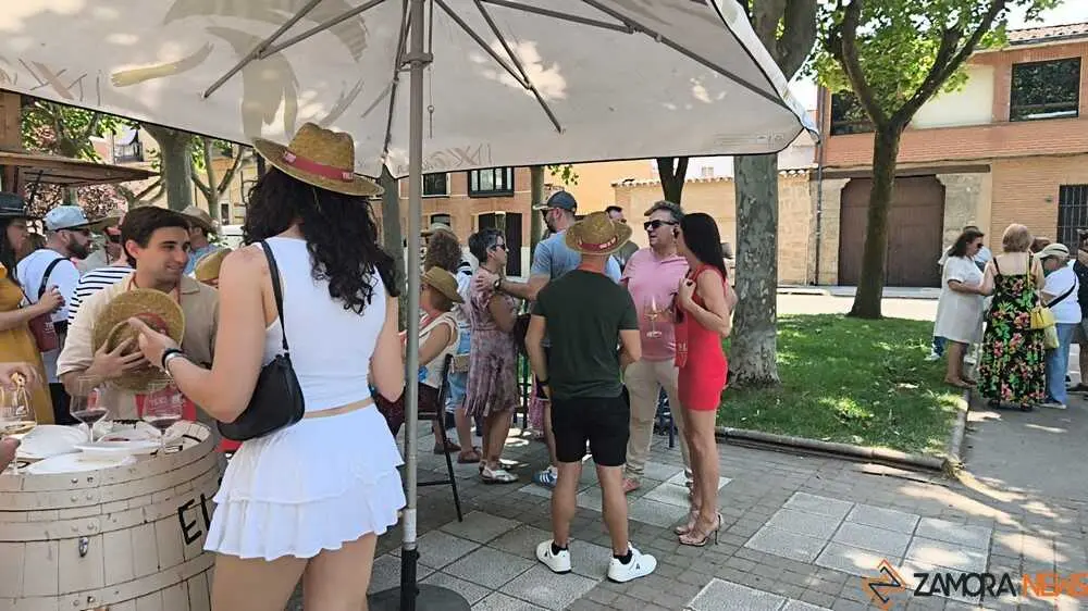 Feria del vino de Toro _31