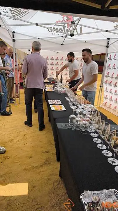 Feria del vino de Toro _32