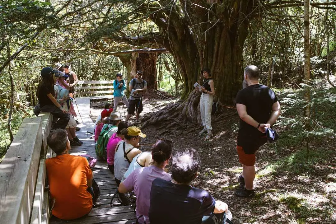Participantes durante la ruta interpretativa celebrada en el Tejedelo, guiada por la bi&oacute;loga Carla Benito Zamarro, dentro de las actividades del proyecto &ldquo;Del Tejedelo al Cielo&rdquo;, impulsado por el Ayuntamiento de Requejo y financiado por el Ministerio para la Transici&oacute;n Ecol&oacute;gica y el Reto Demogr&aacute;fico (MITECO).

Fotograf&iacute;a: &copy; Nico Rodr&iacute;guez