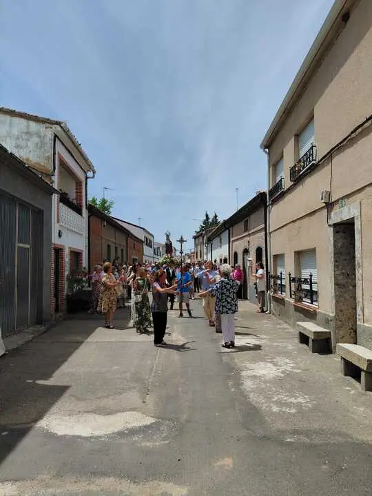 olmo 12