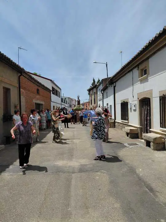 olmo7