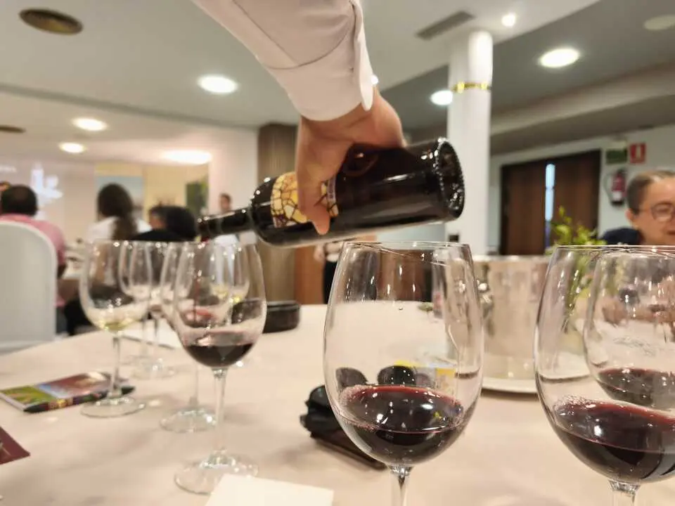 vino 1