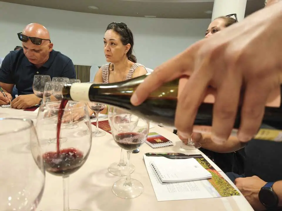 vino5