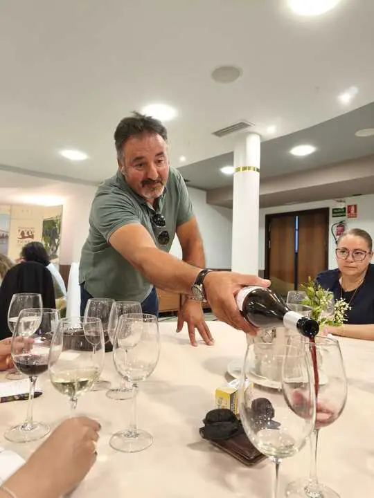 vino8