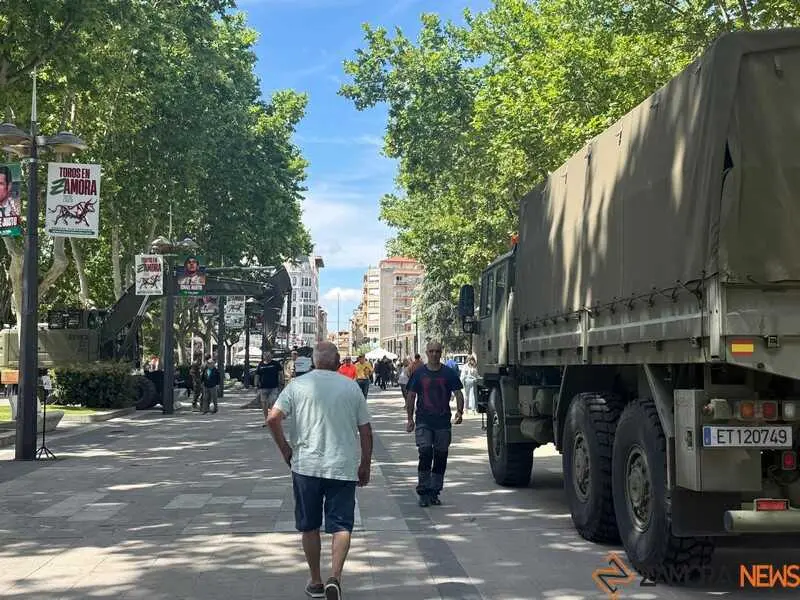 Zamora celebra el D&iacute;a de las Fuerzas Armadas
